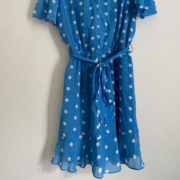 Blue & White Polka-dotted Dress - Picture 4 of 5